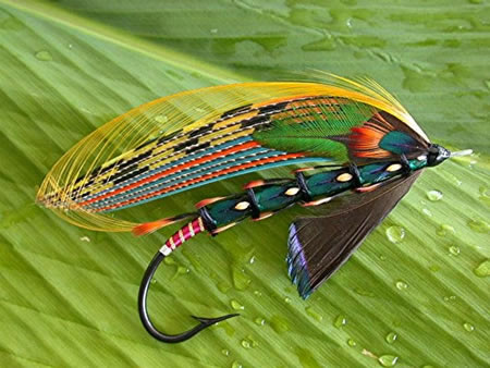 Guanacaste Fly Fishing Charters