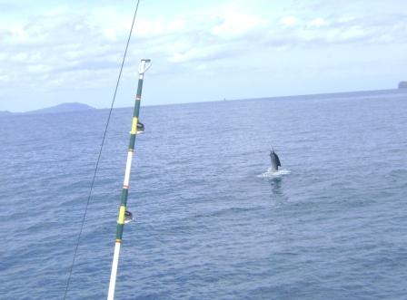 Guanacaste Fishing Charters