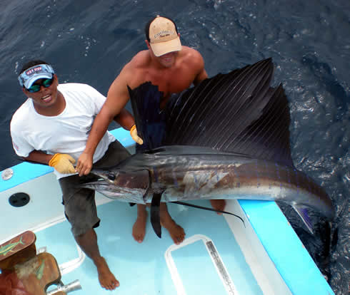 Sailfish Fishing from Playa Hermosa, Guanacaste