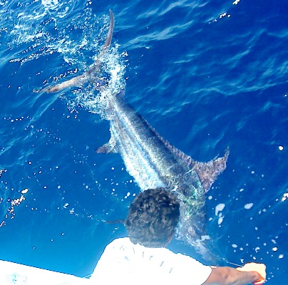 Deep Sea Fishing from Villas Sol Playa Hermosa, Guanacaste, Costa Rica